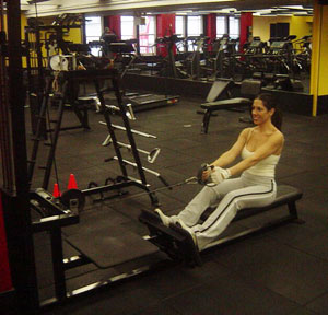Cable Seated Row Exercise 1